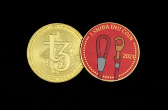 best bitcoin wallet for india