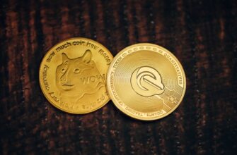 usdt vs usd coin