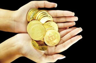 best bitcoin wallet for algeria
