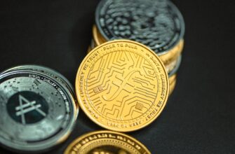 best bitcoin wallet for egypt