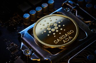 best bitcoin wallet for ignition casino