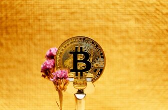 bitcoin countdown clock