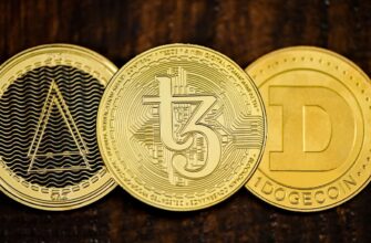 bitcoin halving countdown app
