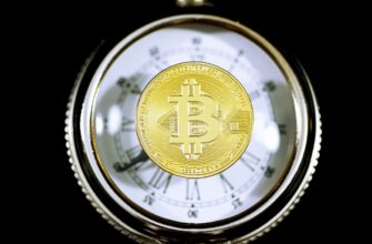 bitcoin halving countdown the block