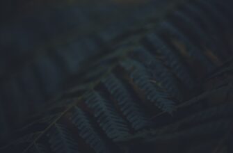 copy trading bnb on bybit best settings