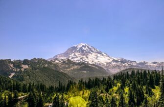 crypto tax washington state