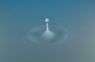 earn interest dot on rocket pool guide