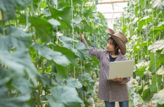 farm atom on yearn finance tutorial