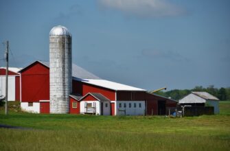 farm bnb on beefy finance flexible