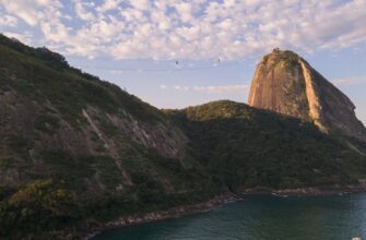 free bitcoin airdrop in brazil