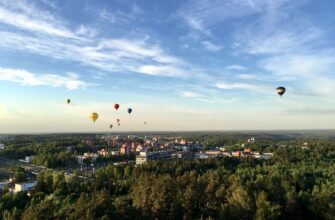 free sui airdrop in germany