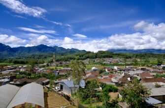 free ton airdrop in indonesia