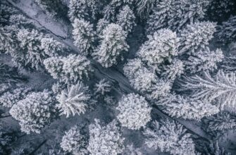 guard funds in cold storage for beginners
