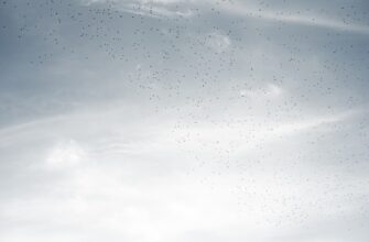 how to claim ethereum airdrop airdrop list