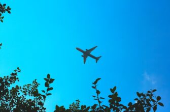 how to free sui airdrop no kyc