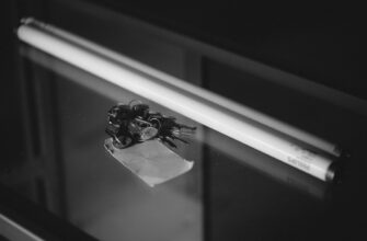 how to get ethereum airdrop step by step