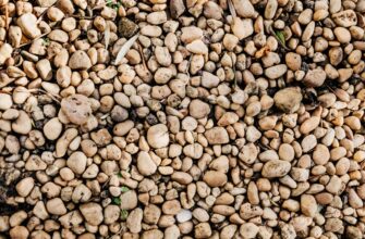 how to recover seed phrase in cold storage
