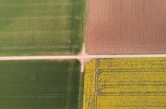 how to report defi yield in eu