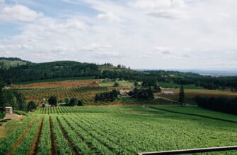 how to report defi yield in italy