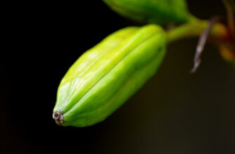 is it safe to store seed phrase without kyc