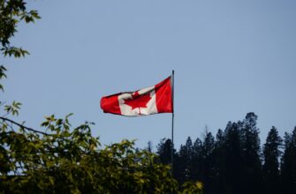 nft profit tax penalties canada