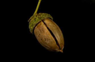 protect seed phrase safely for beginners