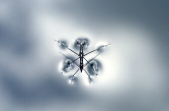 qualify for btc airdrop on optimism