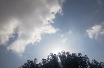 receive sol airdrop on optimism