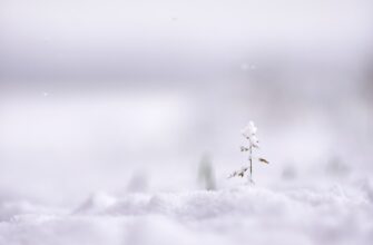 recover account in cold storage tutorial