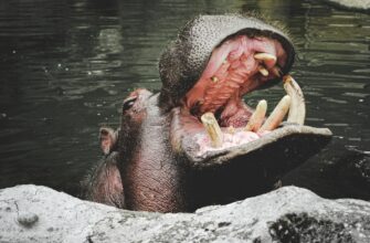 stake usdc on kraken staking best apy