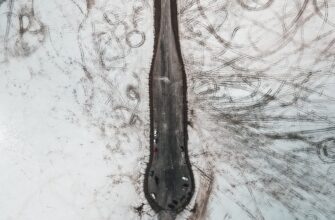 stake usdt on rocket pool highest apy