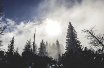 swiss nft fund