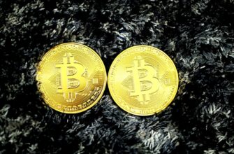 the best bitcoin wallet for beginners