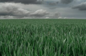 yield farm ethereum on coinbase staking low risk