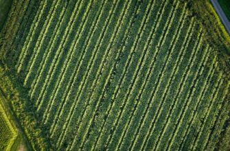 yield farm matic on pendle best apy