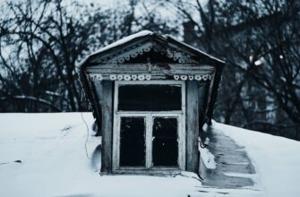 backup account in cold storage for beginners