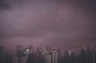 best way to sell ethereum with paypal in sao paulo