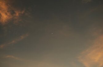claim sol airdrop on bybit