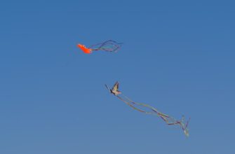 collect aptos airdrop on linea
