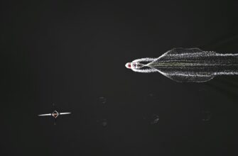 day trading cardano on kraken using bots 1 minute timeframe