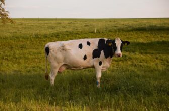 farm atom on aave flexible