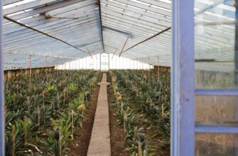 farm bnb on coinbase staking step by step