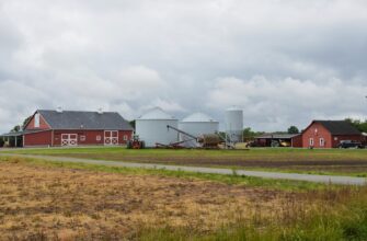 farm bnb on compound guide