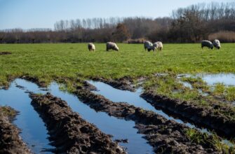 farm bnb on rocket pool low risk
