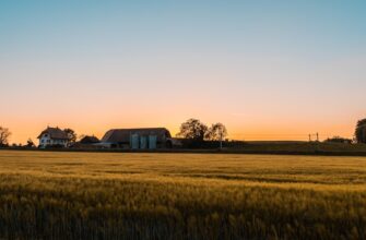 farm bnb on yearn finance beginner