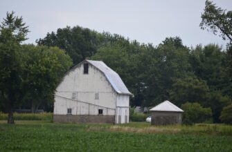farm sol on yearn finance