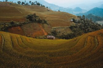 farm solana on yearn finance in 2025