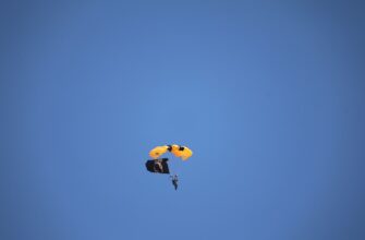 free avax airdrop on polygon
