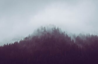 free ethereum airdrop on optimism
