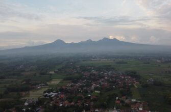 free matic airdrop in indonesia